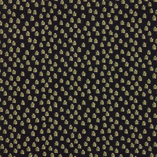 Pierre Frey Toile Africaine - Noir/Vert