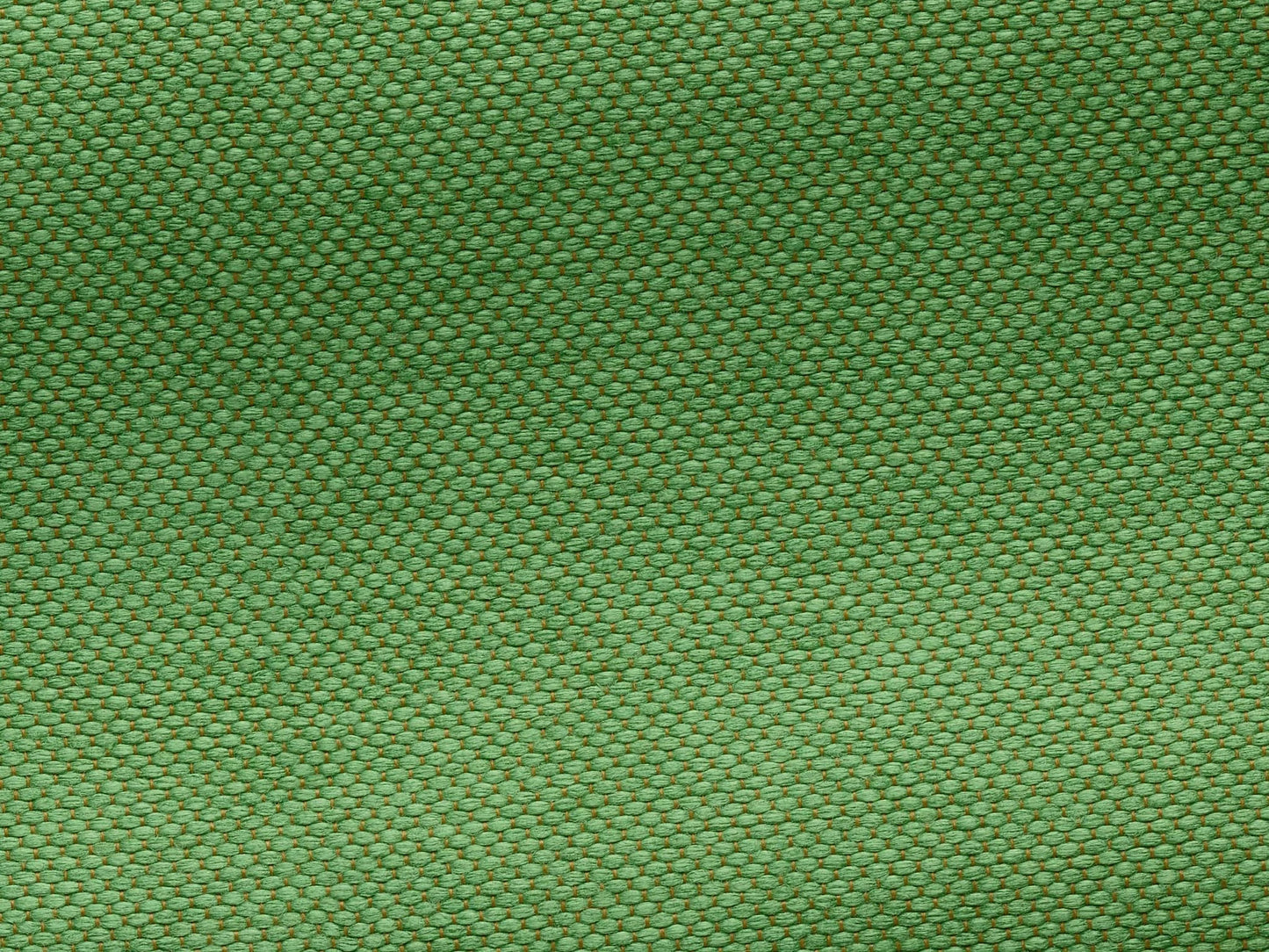 Pierre Frey Nacre De Tours - Vert pré
