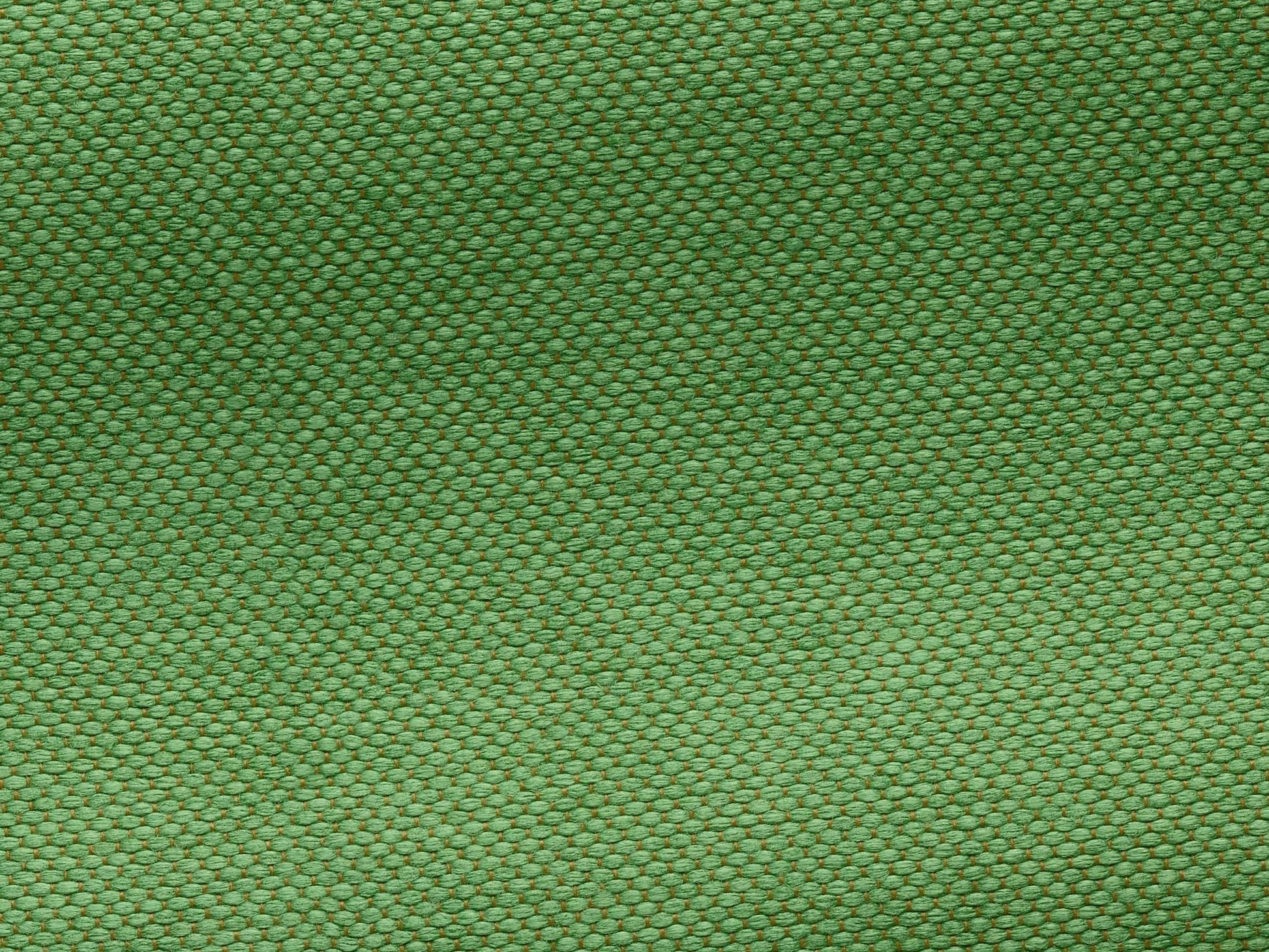 Pierre Frey Nacre De Tours - Vert pré