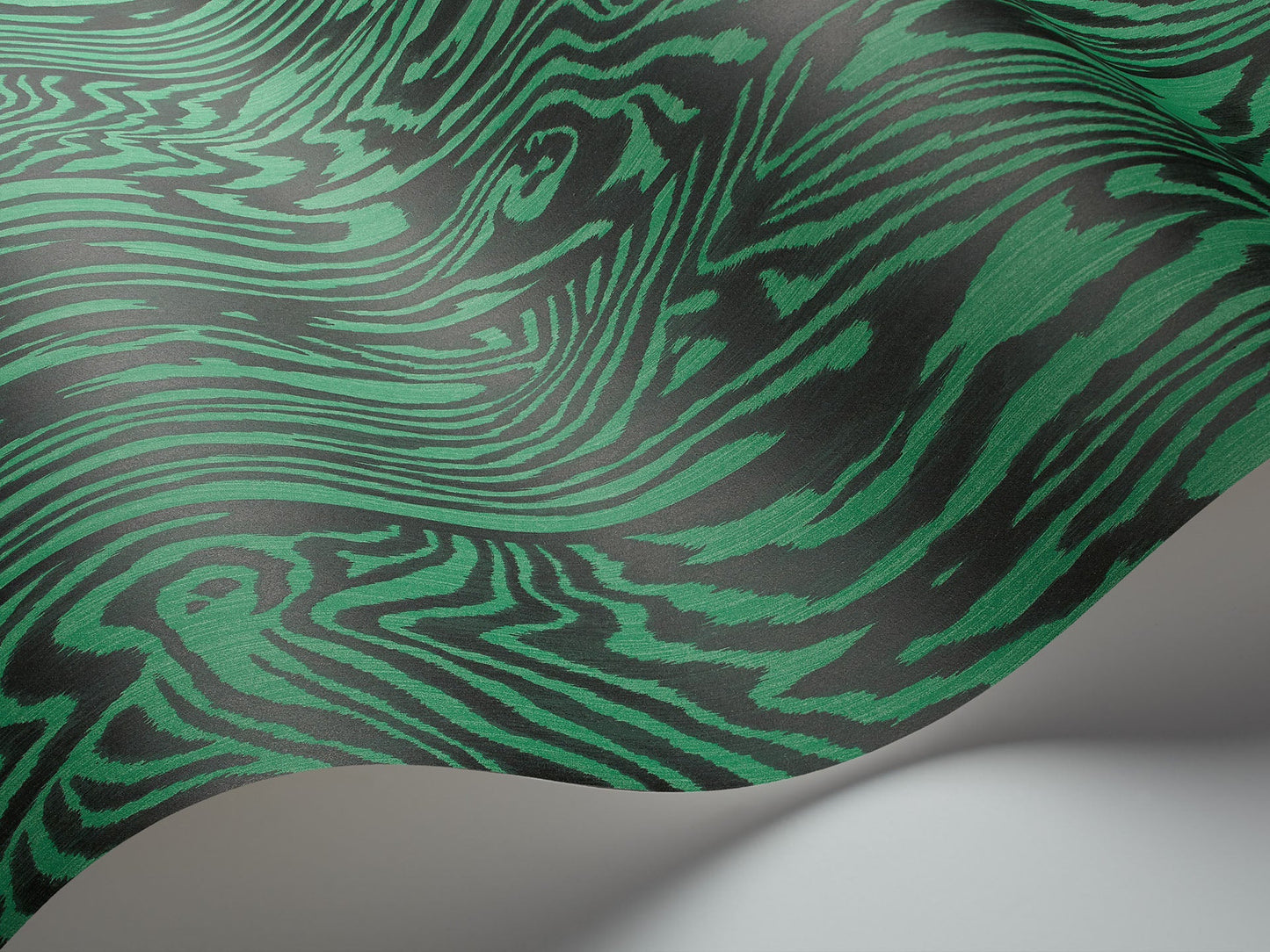 Cole & Son Zebrawood - interior