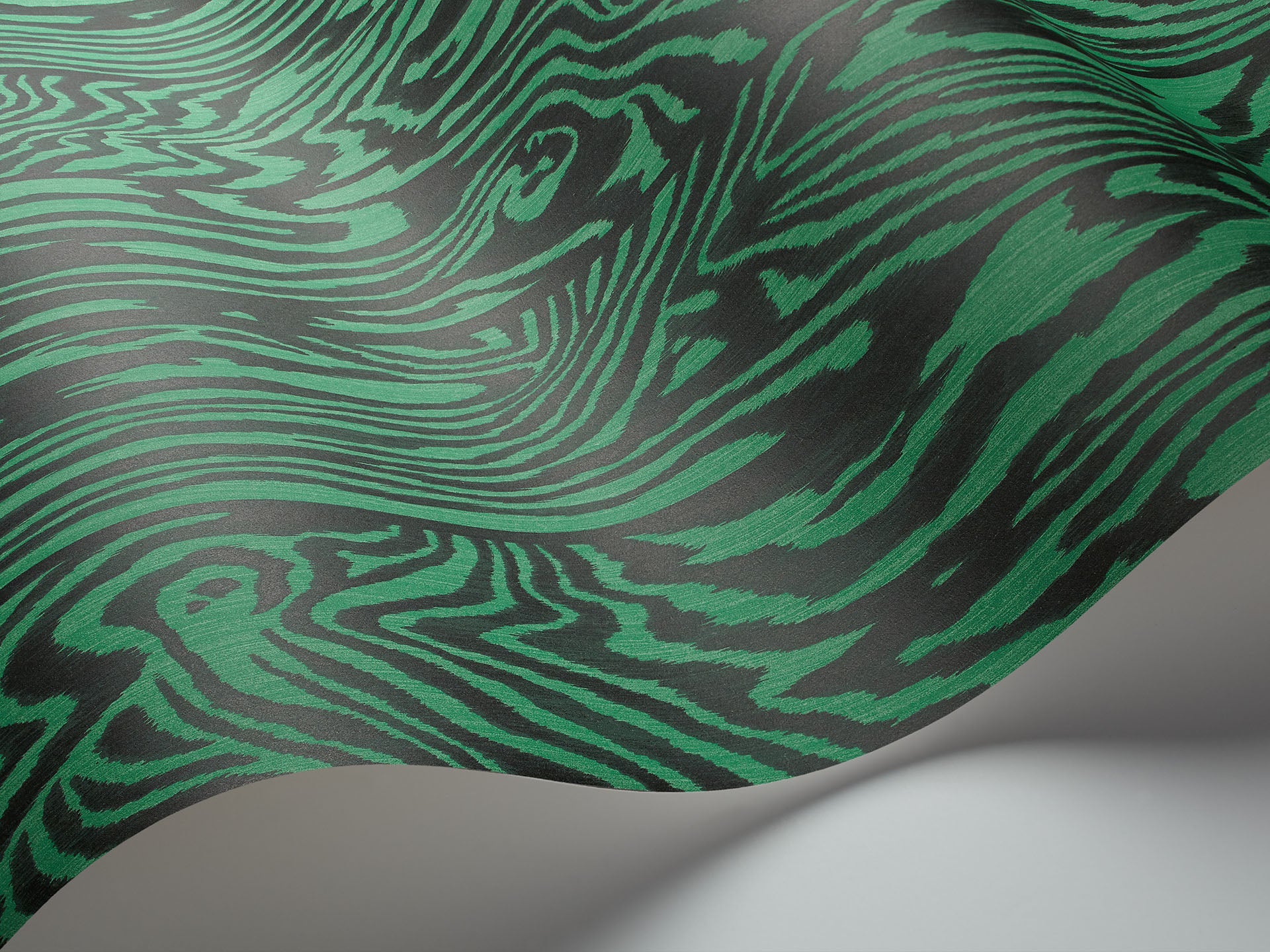 Cole & Son Zebrawood - interior