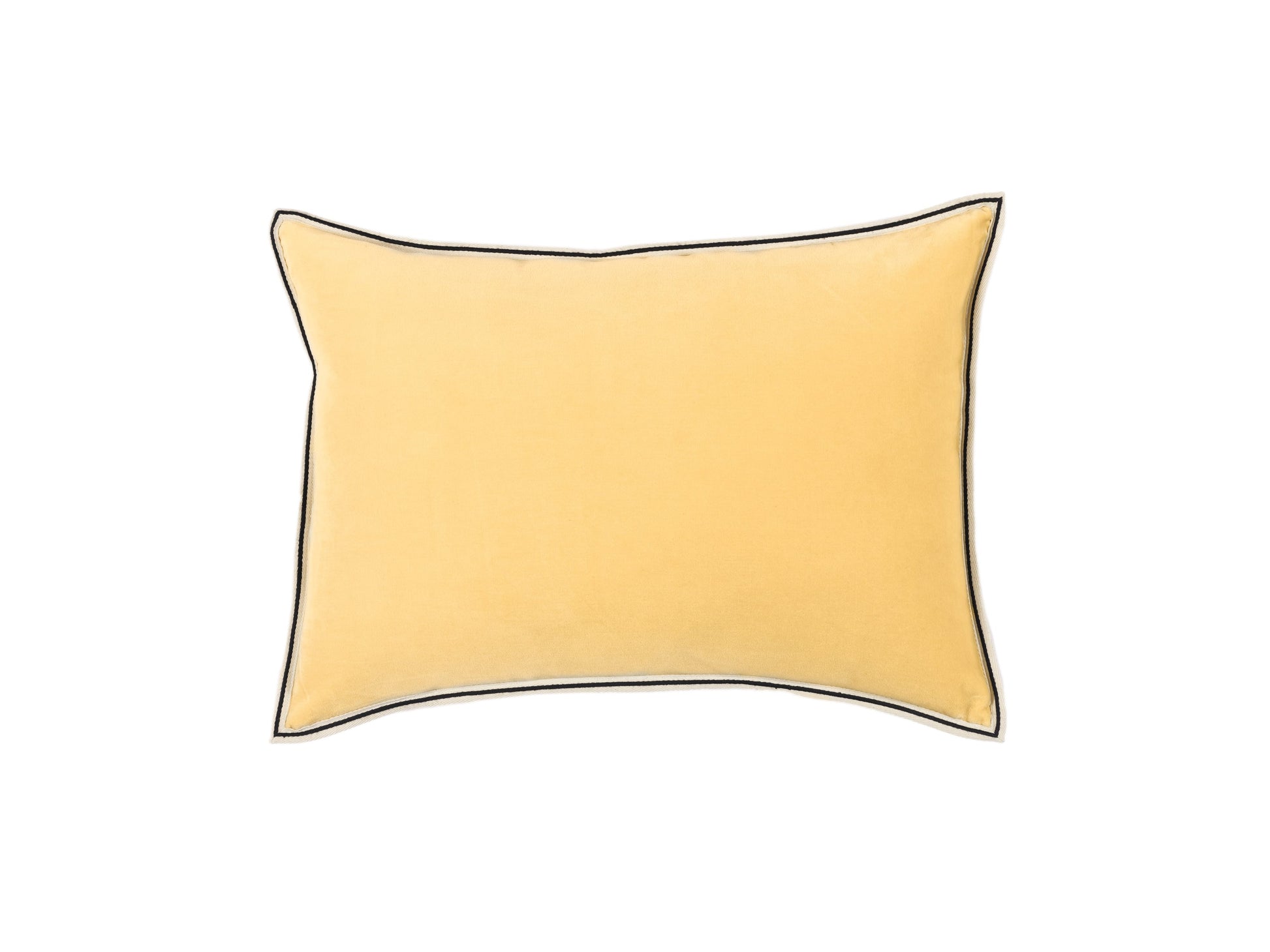 Elitis | ARISTOTE Petit beurre 40X55 - 20 - ARISTOTE Petit beurre