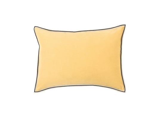 Elitis | ARISTOTE Petit beurre 40X55 - 20 - ARISTOTE Petit beurre