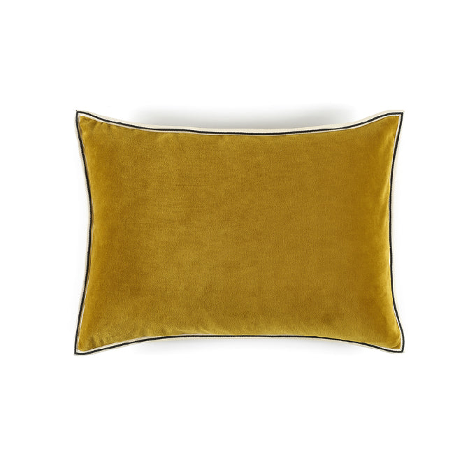Elitis | ARISTOTE Doré 40X55 - 25 - ARISTOTE Doré