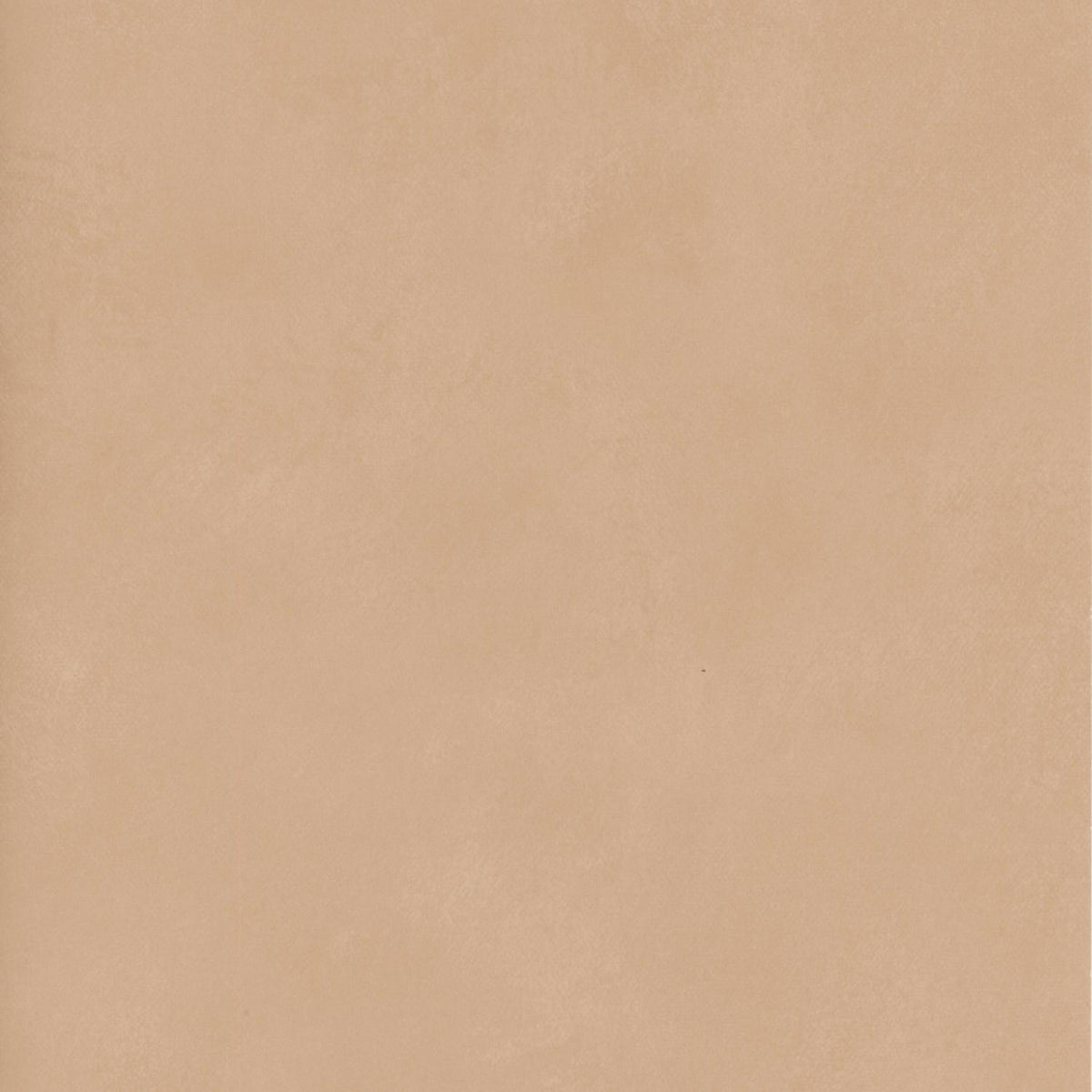 Andrew Martin Japan Blush wallpaper