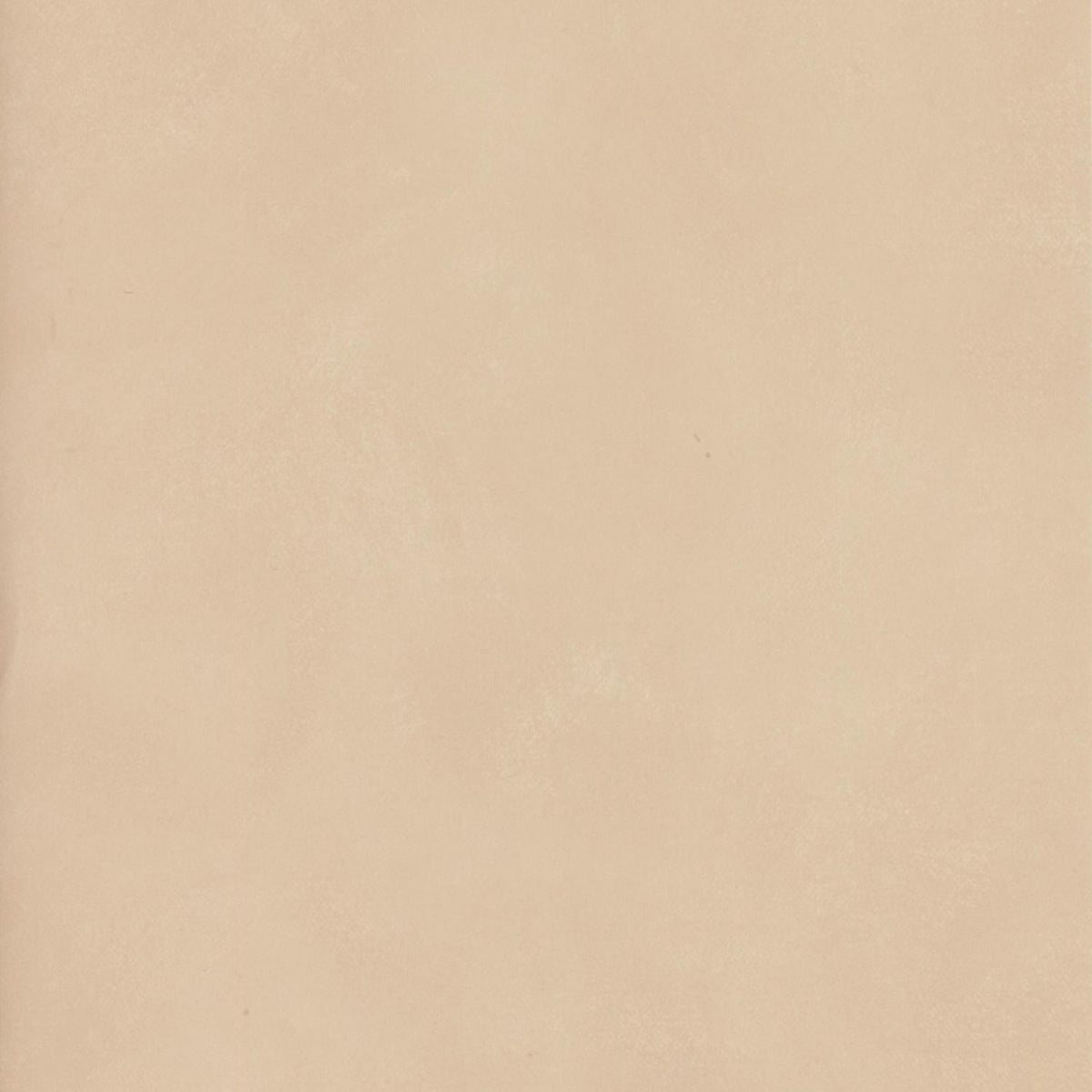 Andrew Martin Japan Flax wallpaper