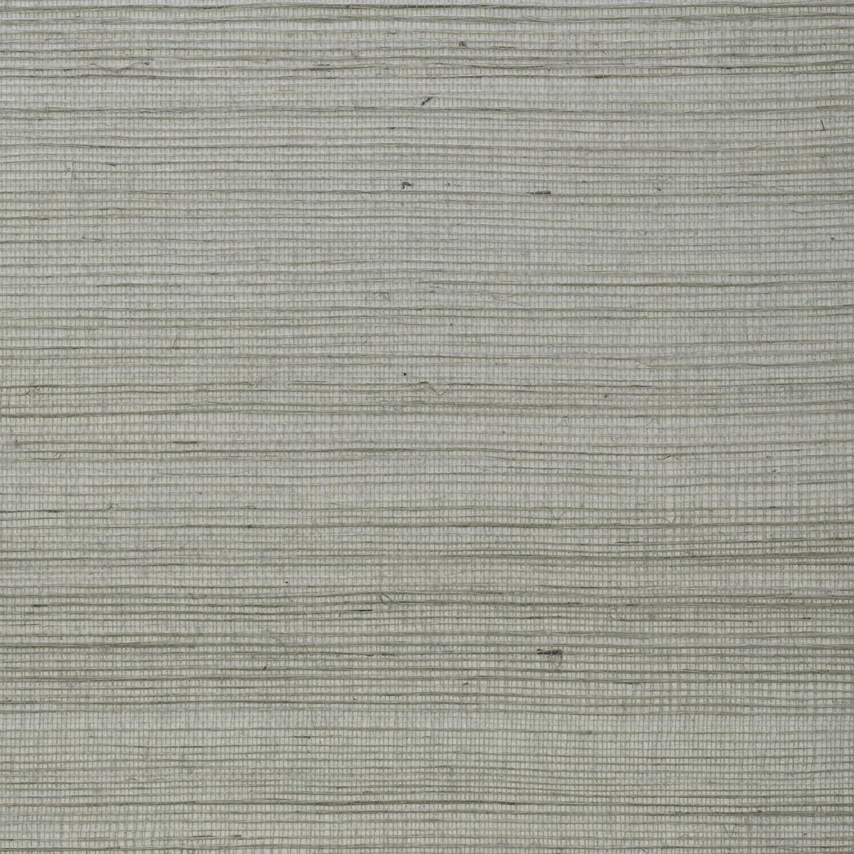 Andrew Martin Kongo Seed wallpaper