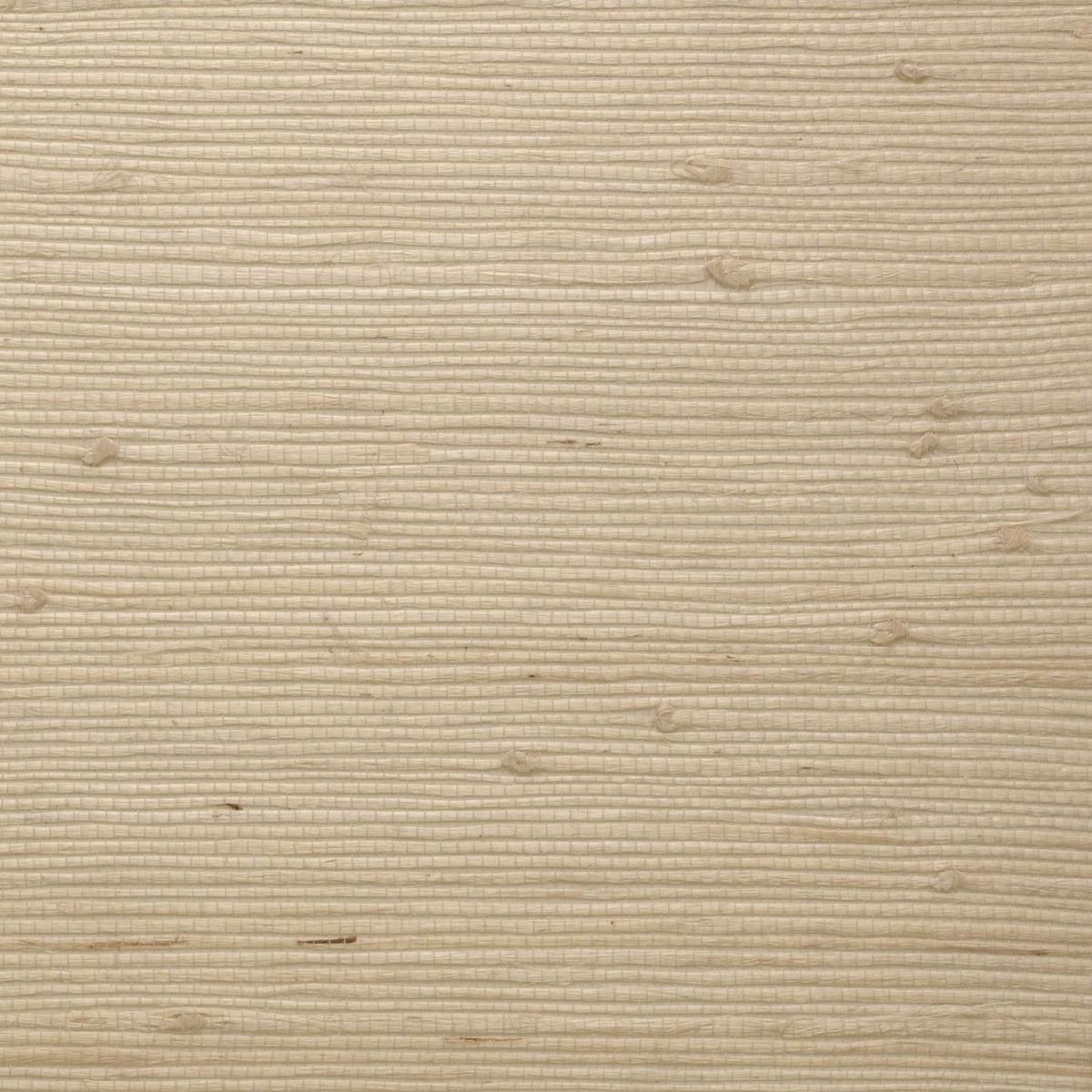 Andrew Martin Samburu Goatskin wallpaper