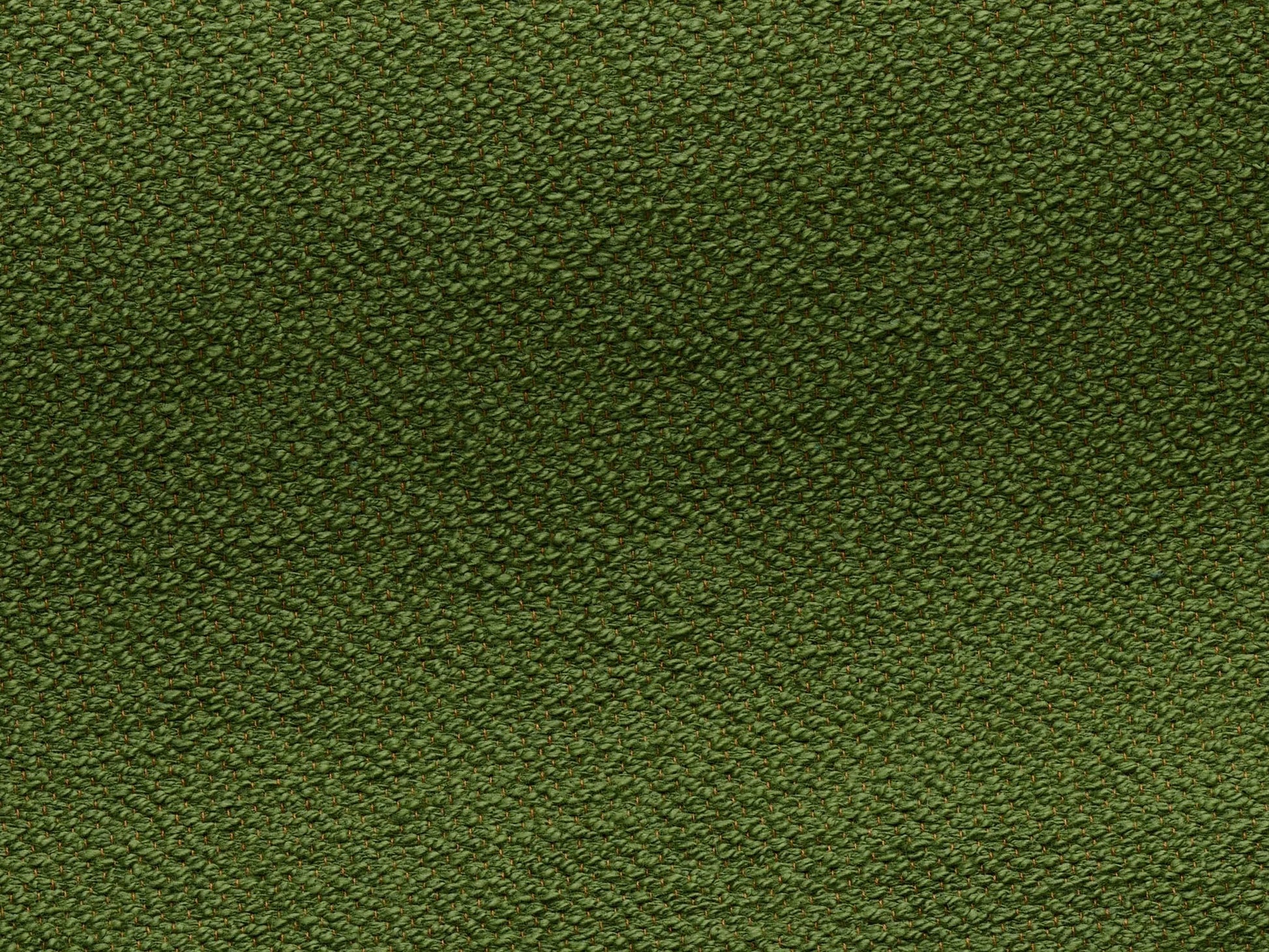 Pierre Frey Toile De Tours - Bouclette - Vert pré