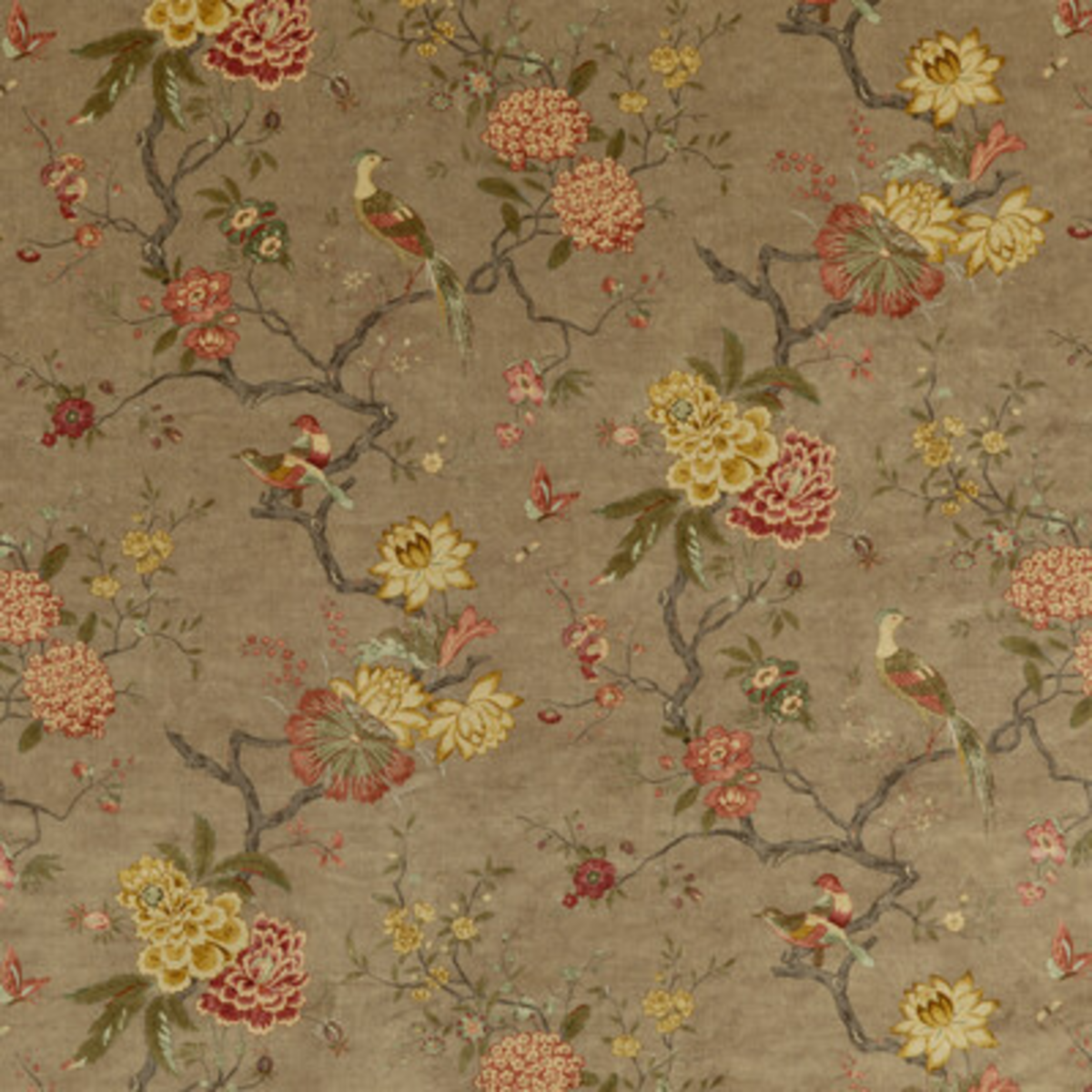 GP & J Baker | Oriental Bird Velvet fabric - Mole