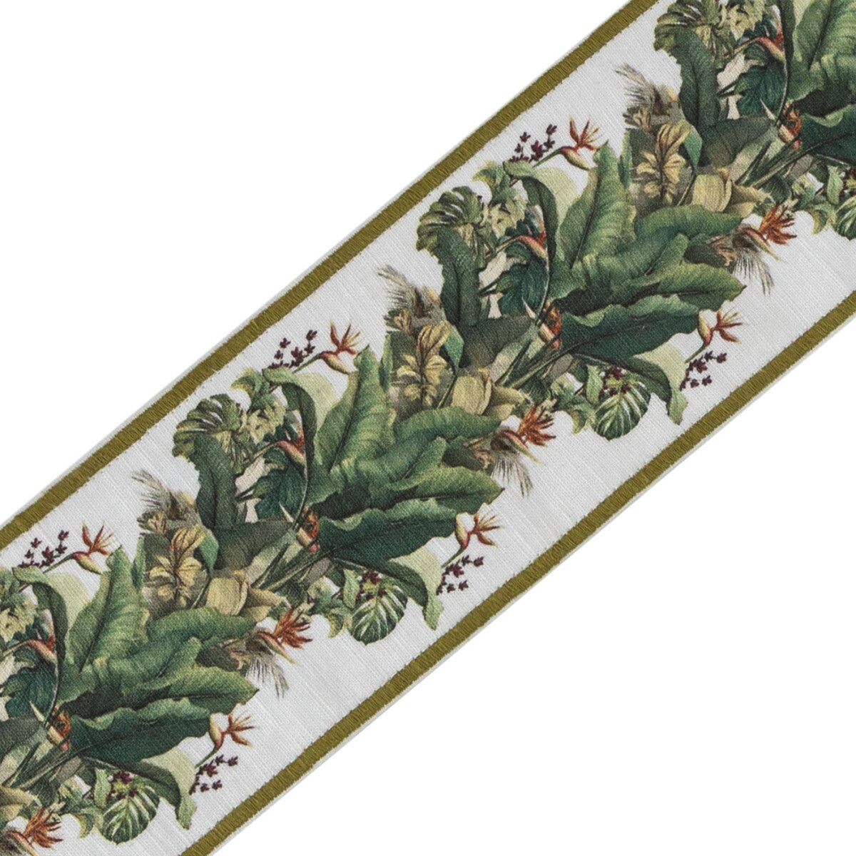 Paradise Garden Border — Amazon