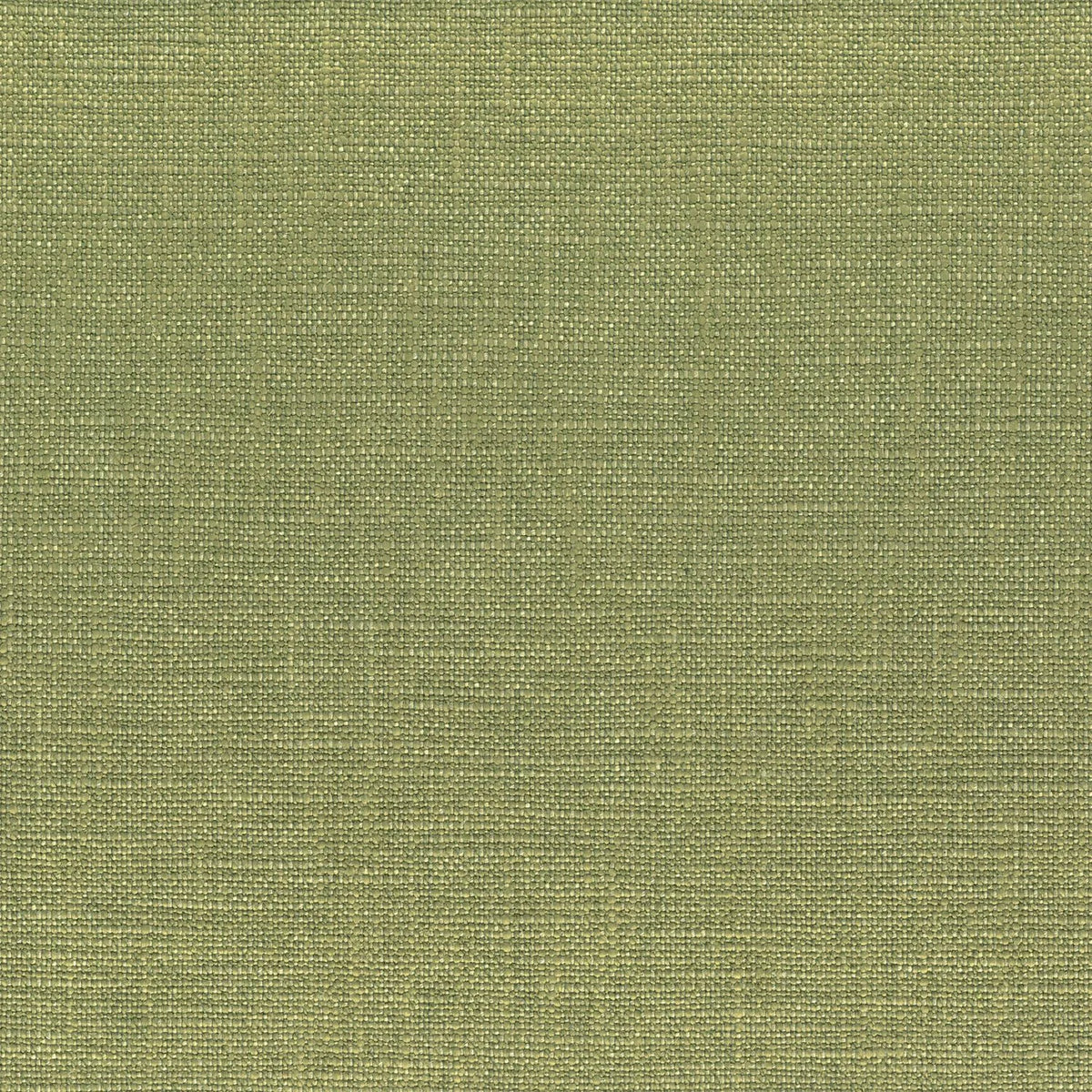 Casamance Biseau fabric — Olive