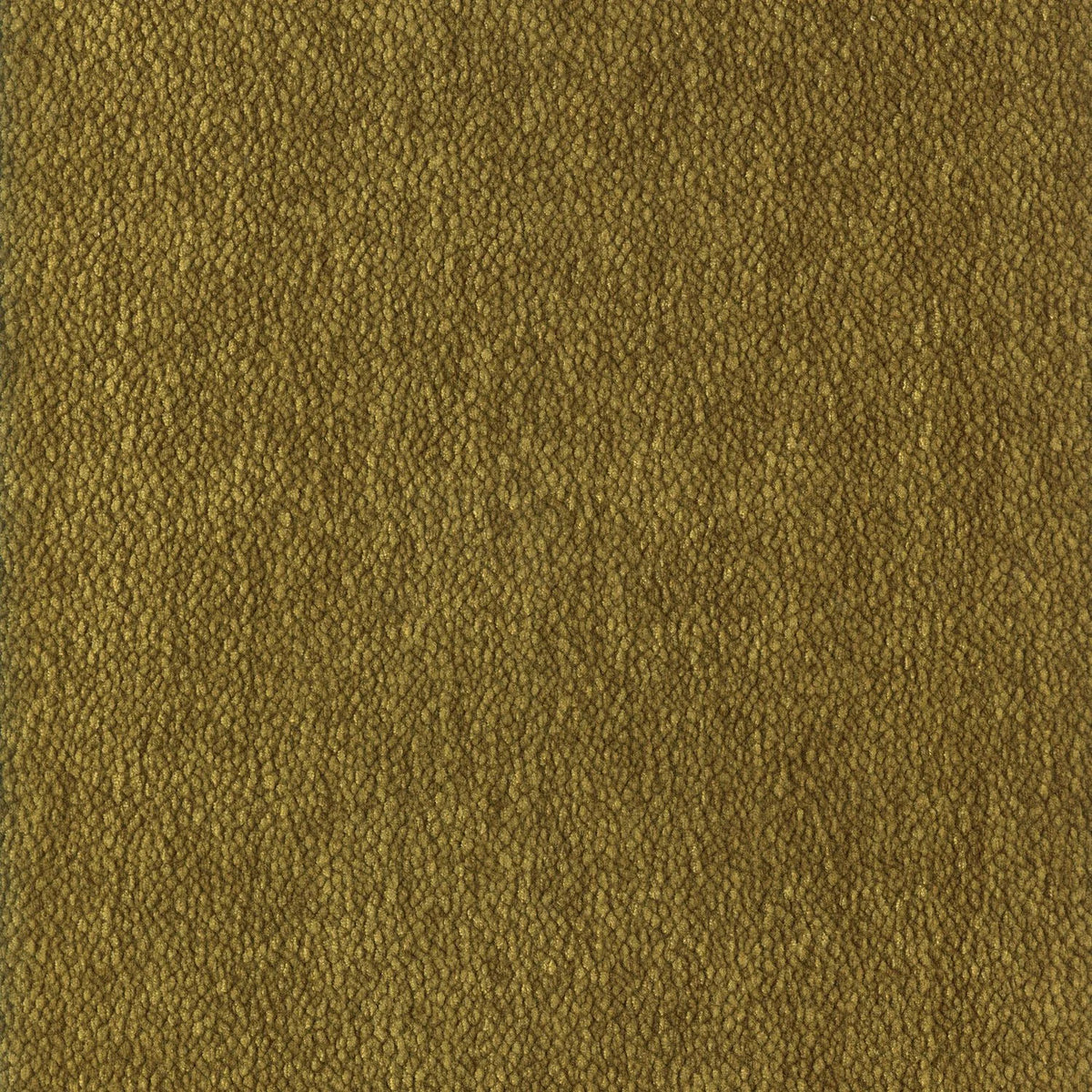 Casamance Chroma fabric — Olive