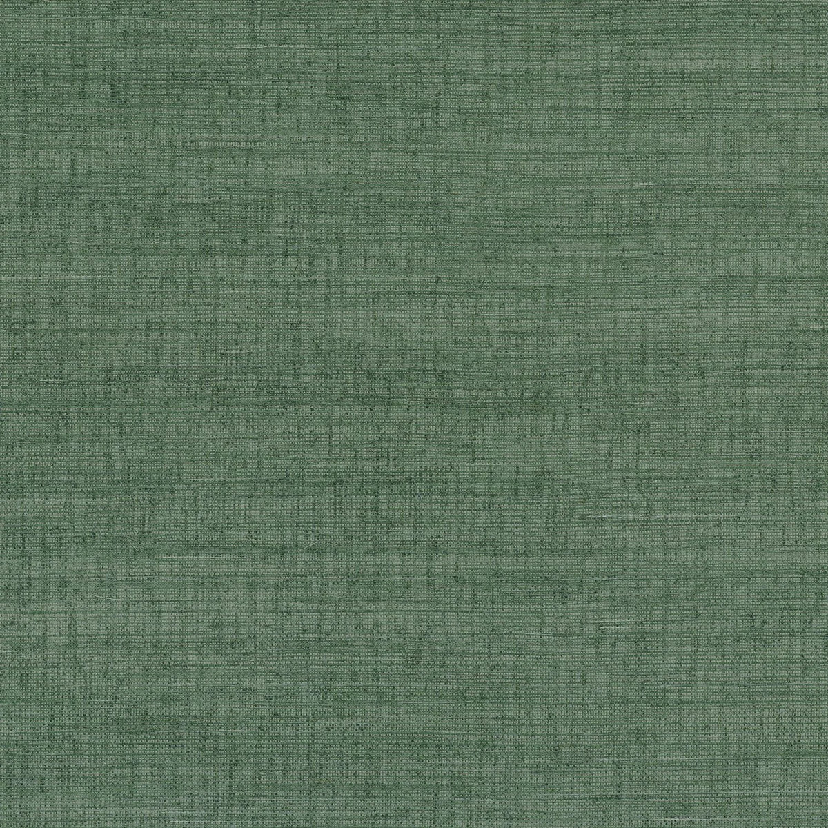 Casamance Deserti wallcovering — Vert Provence