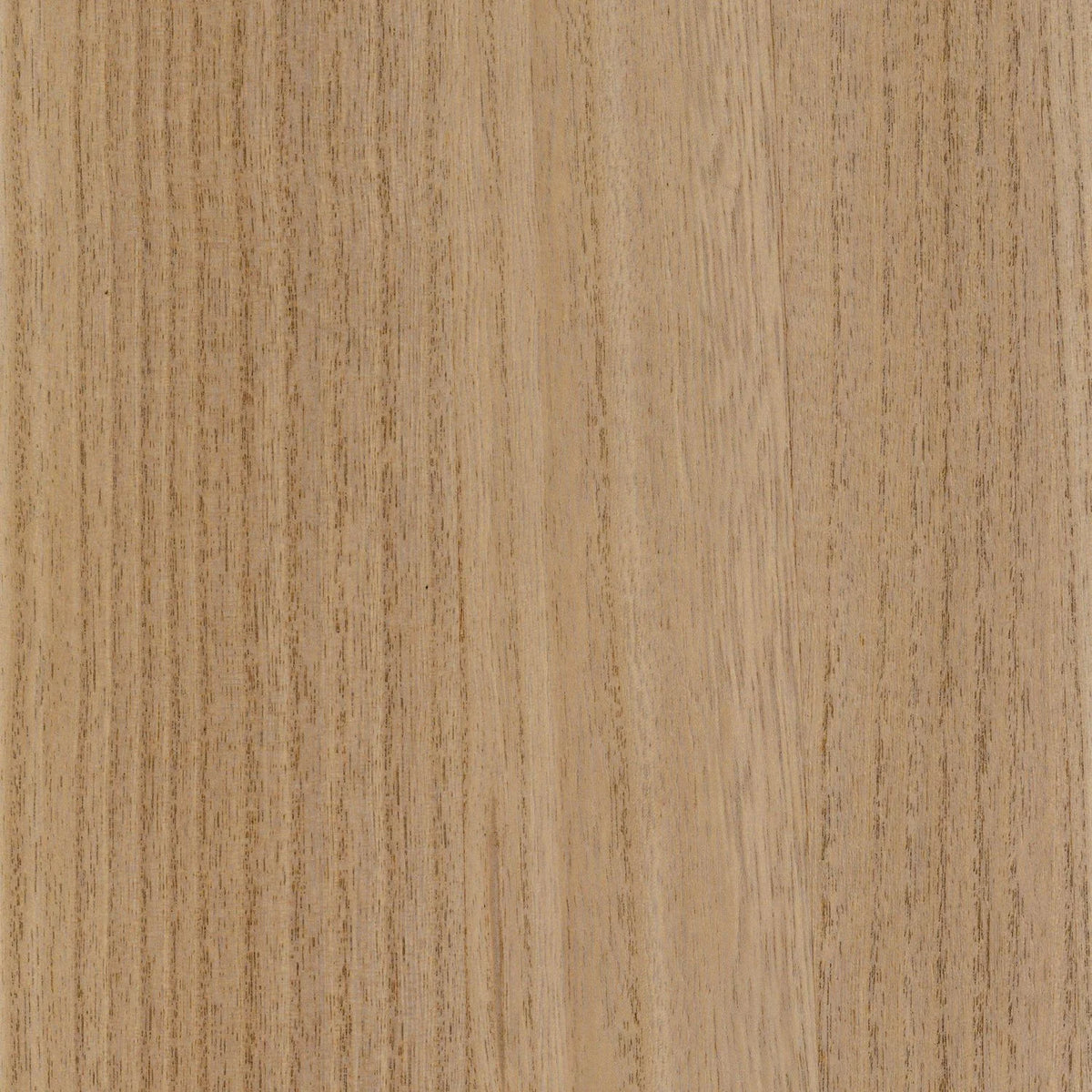 Casamance Ebony wallcovering — Chêne Clair