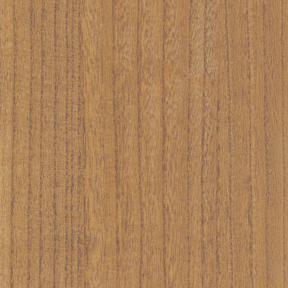 Casamance Ebony wallcovering — Chêne Doré