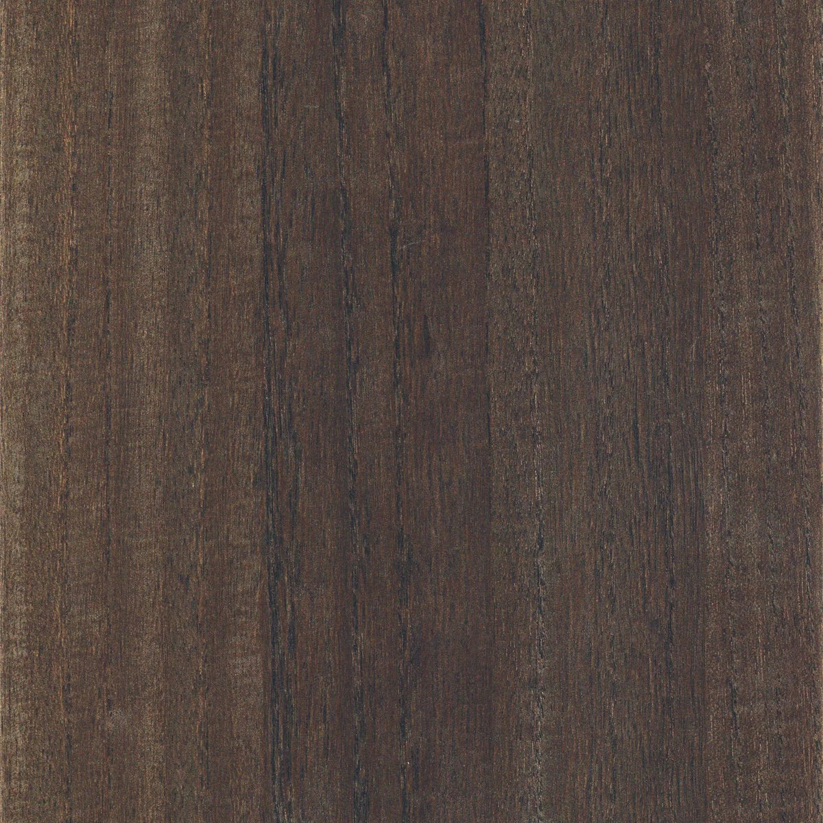 Casamance Ebony wallcovering — Ébène
