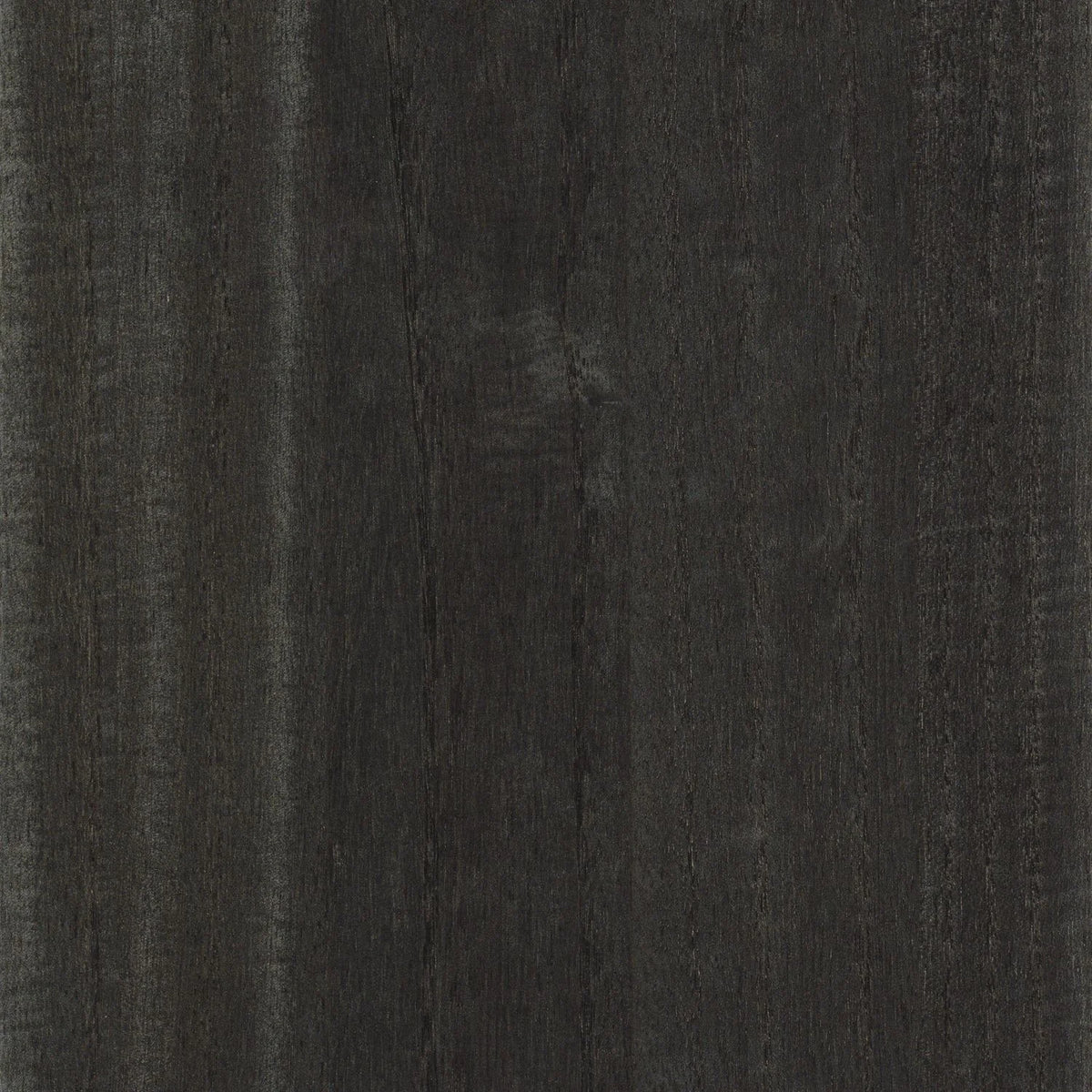 Casamance Ebony wallcovering — Carbone