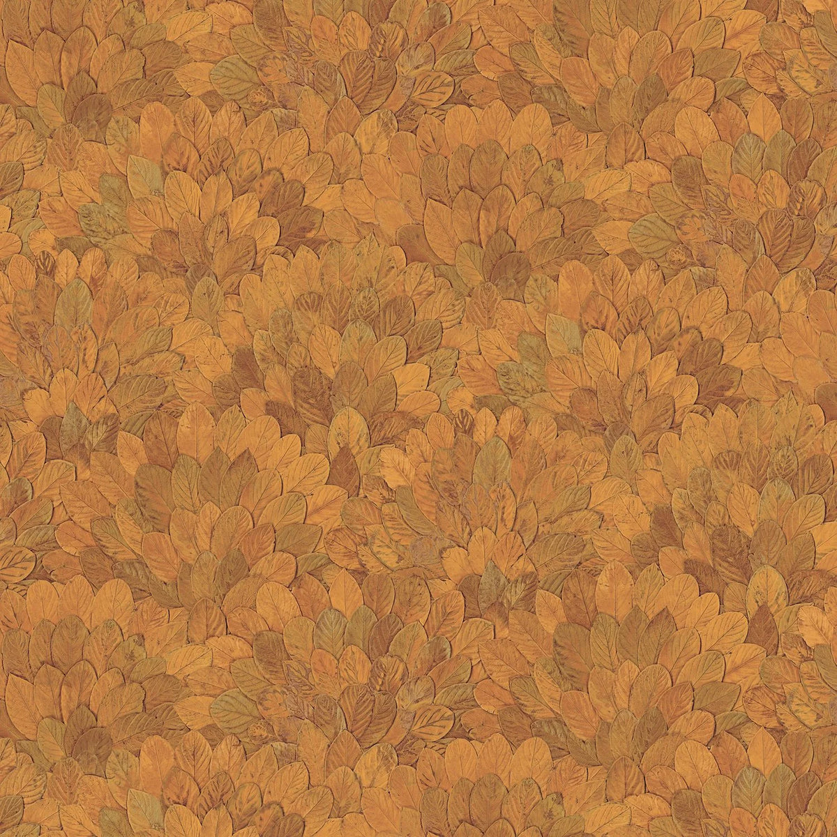 Casamance Feijoa wallpaper — Safran