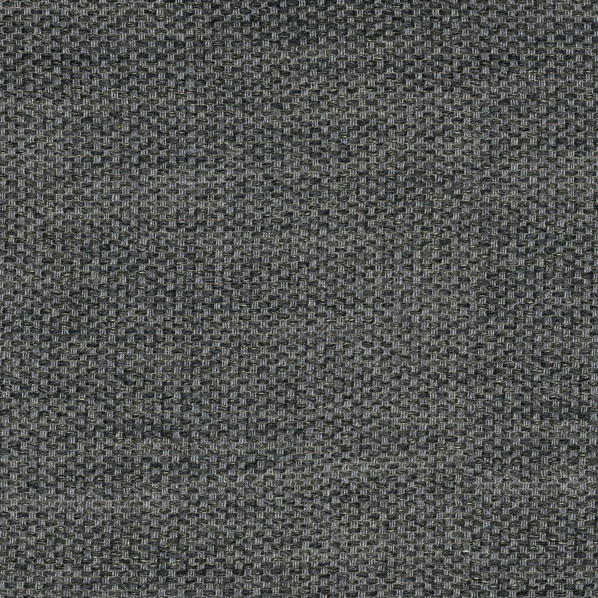 Casamance Frimas fabric — Carbone