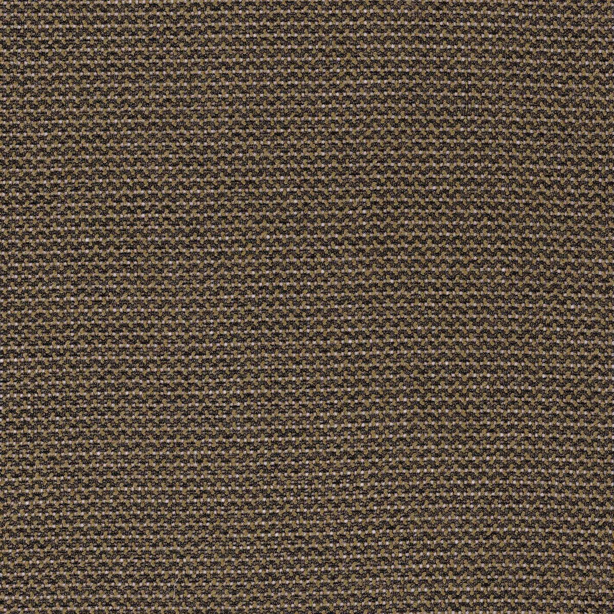 Casamance Grazielle fabric — Mordore