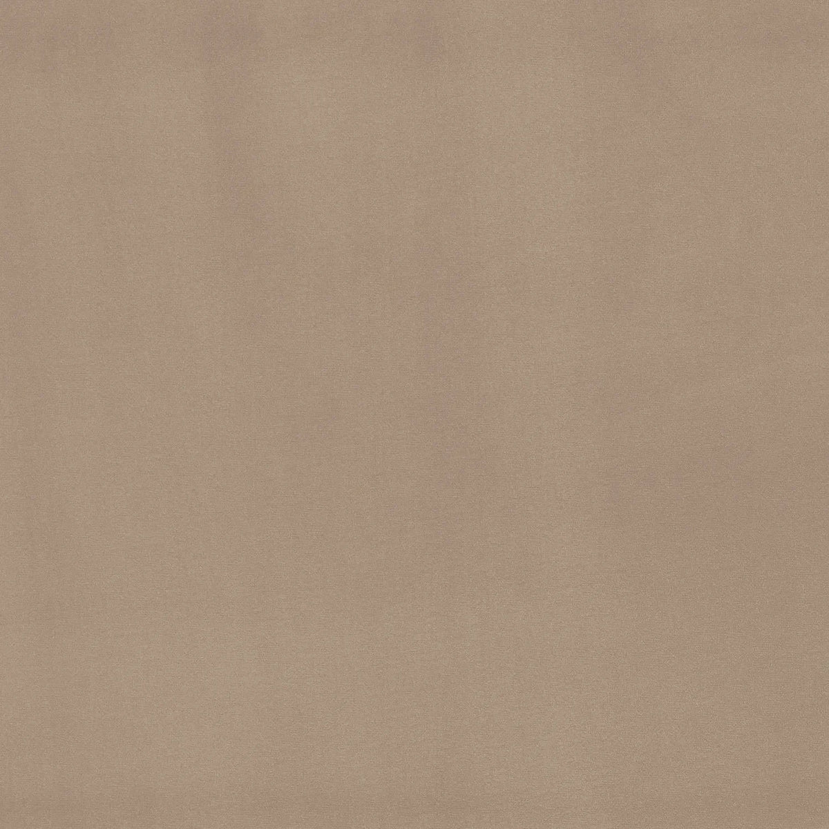 Casamance Hestia wallcovering — Taupe
