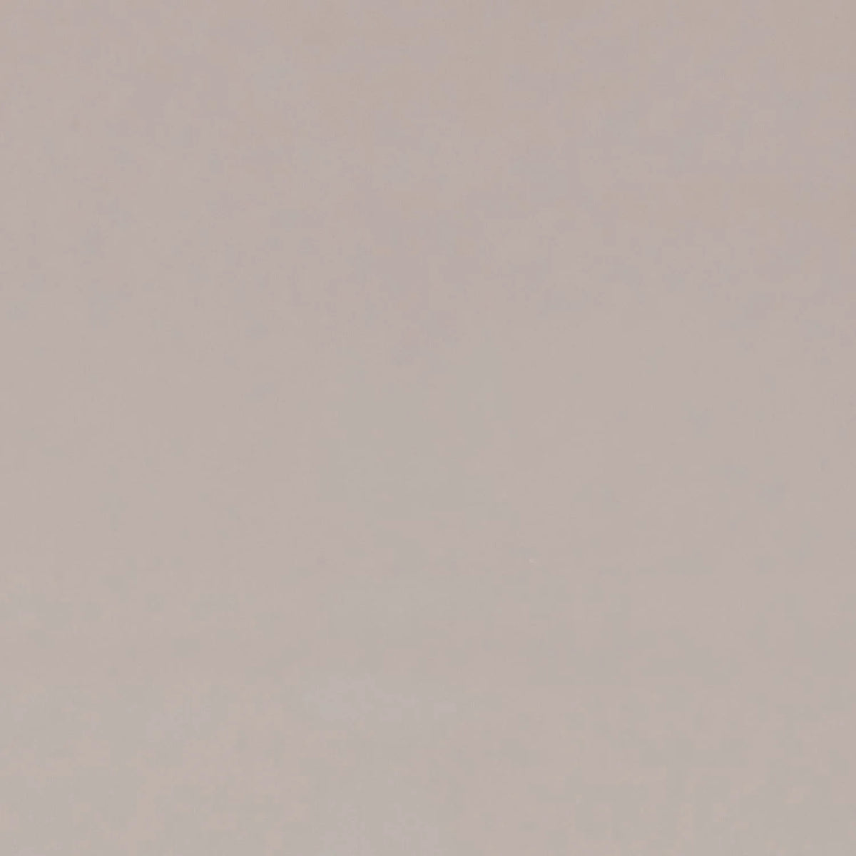 Casamance Hestia wallcovering — Grège
