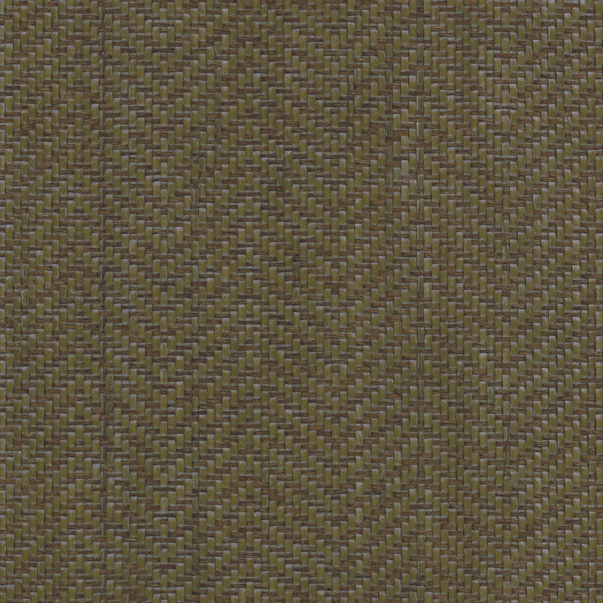 Casamance Kasane wallcovering — Kaki
