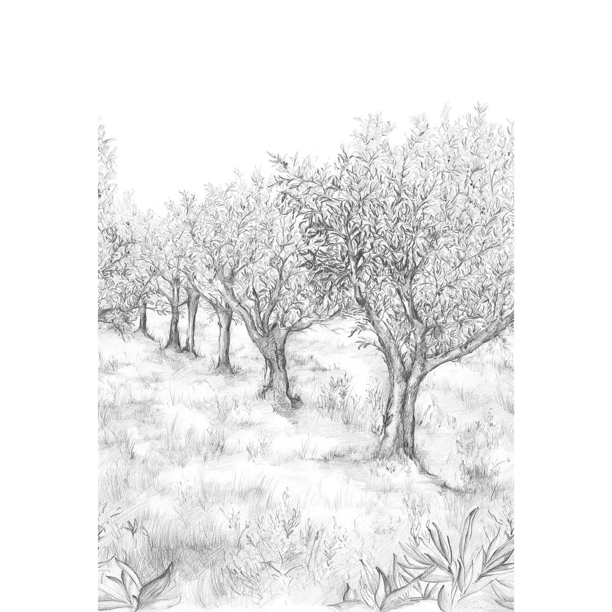 Casamance Lauris Int wallpanel — Noir/Blanc