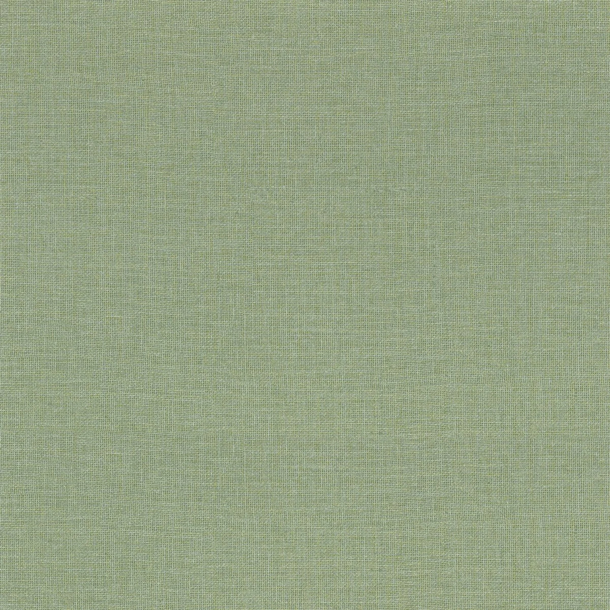 Casamance Lienzo wallpaper — Cactus