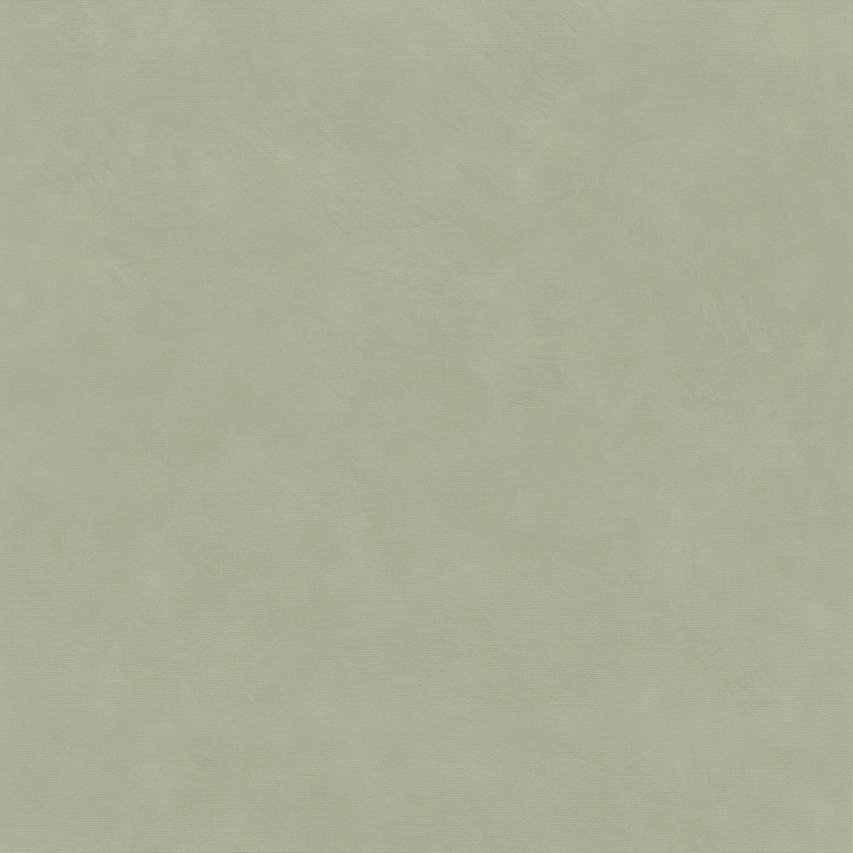 Casamance Lime wallcovering — Sauge