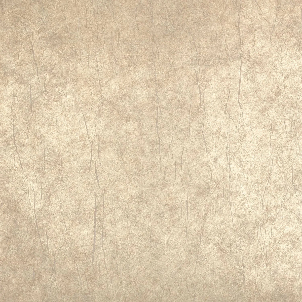 Casamance Oxea wallcovering — Sable Platine