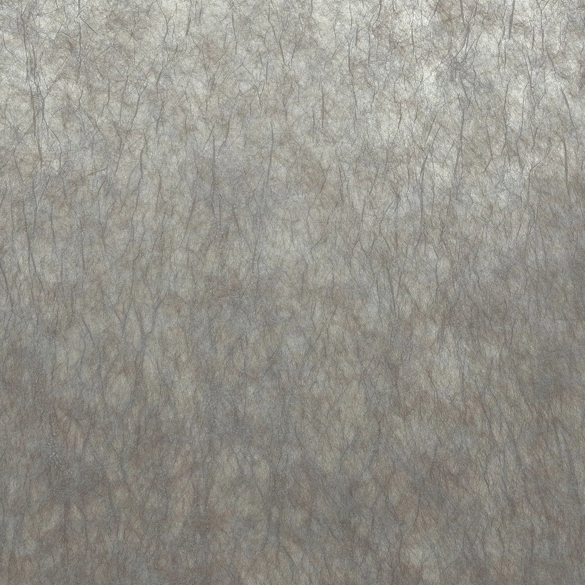 Casamance Oxea wallcovering — Gris Nuage Argenté