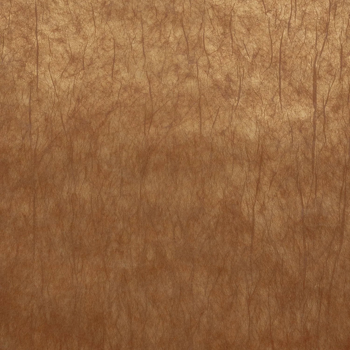 Casamance Oxea wallcovering — Terre De Sienne Doré