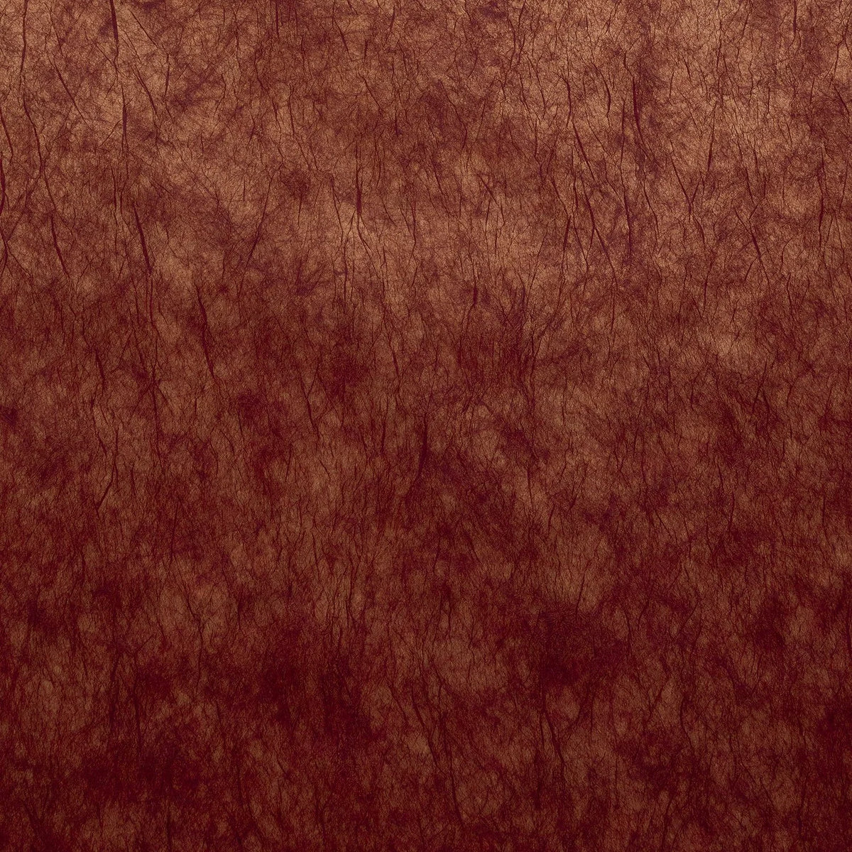 Casamance Oxea wallcovering — Sienne Brulé Cuivré