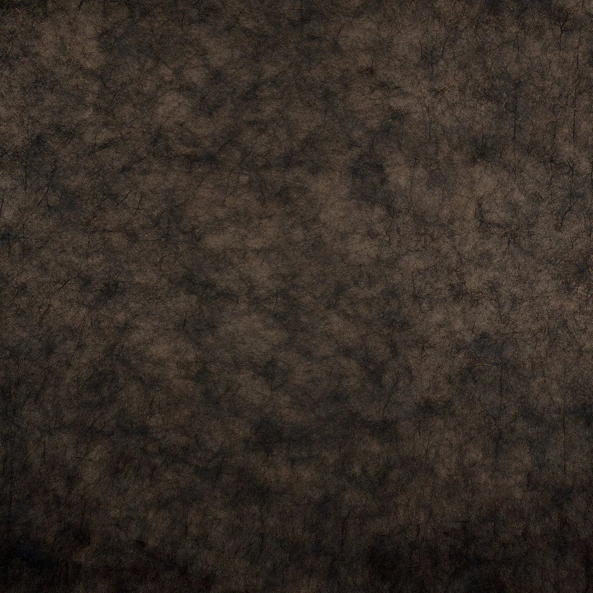 Casamance Oxea wallcovering — Noir De Lune Doré