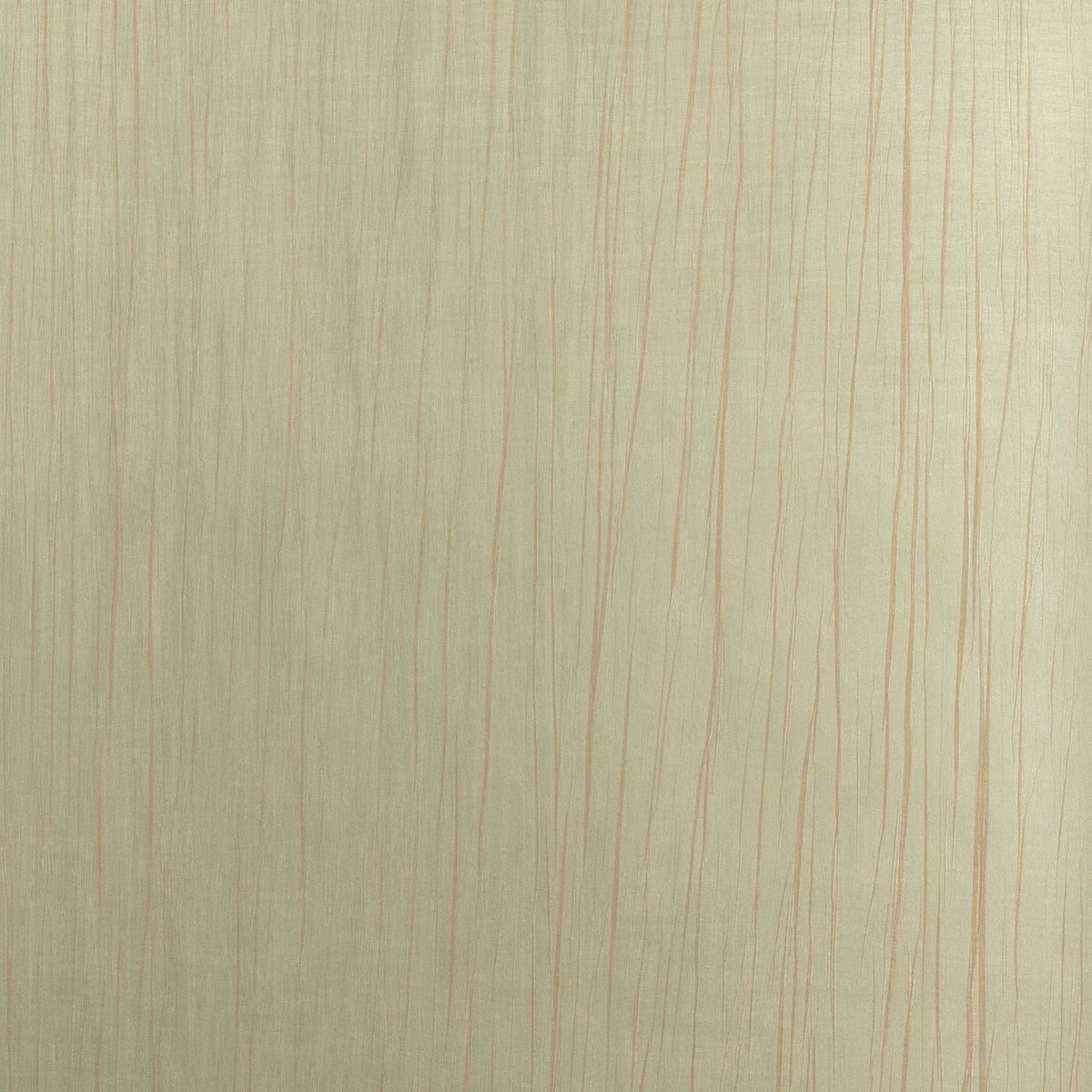Casamance Rai wallcovering — Sable