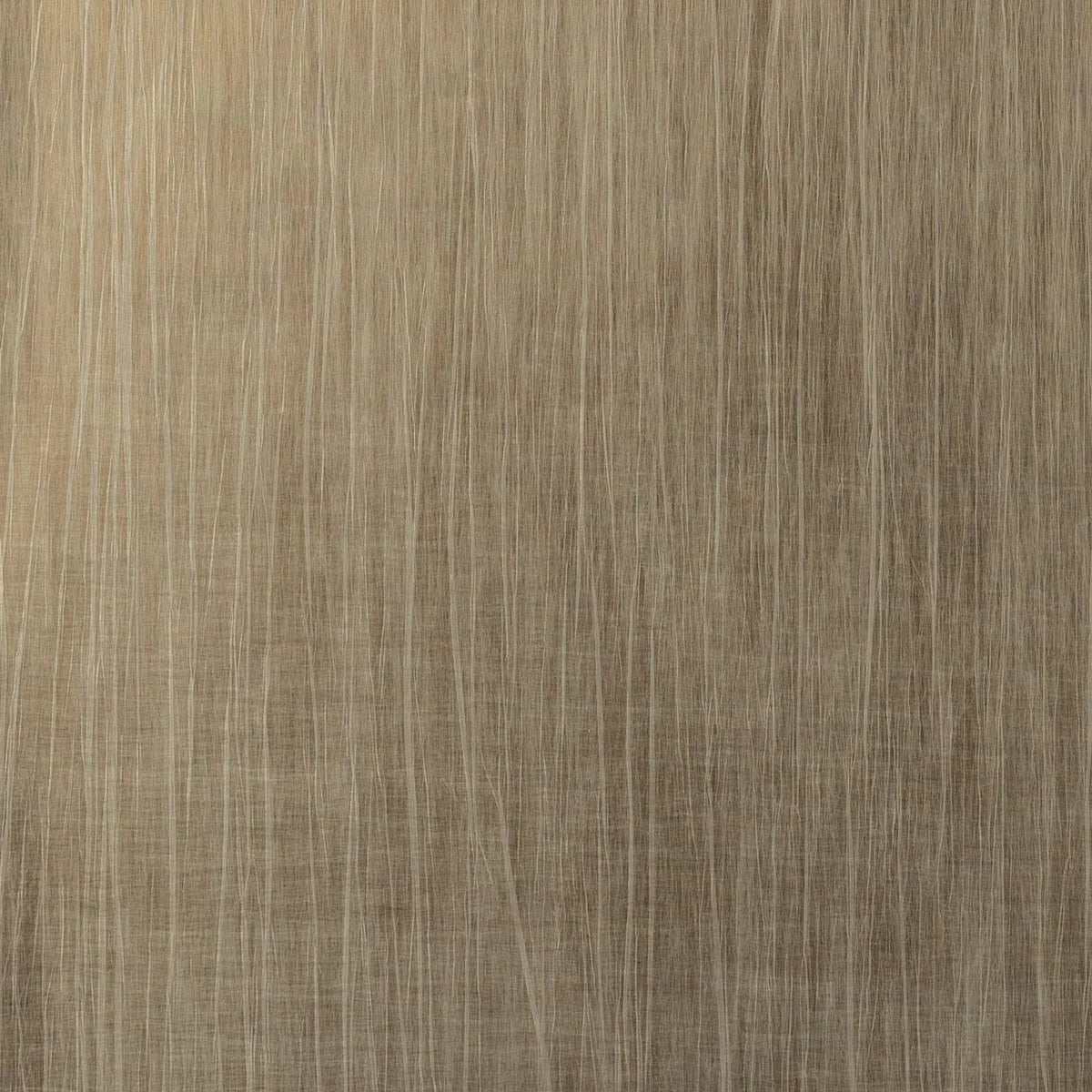 Casamance Rai wallcovering — Beige Foncé