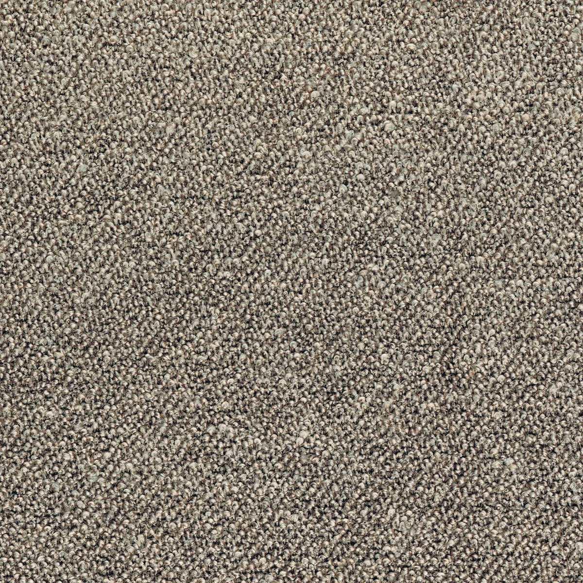 Casamance Abruzzes fabric — Taupe