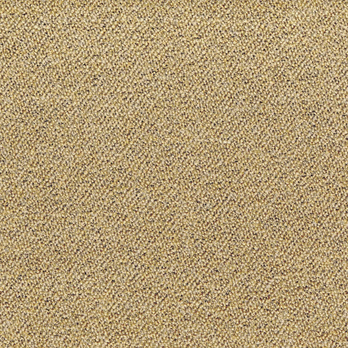 Casamance Abruzzes fabric — Jaune Paille