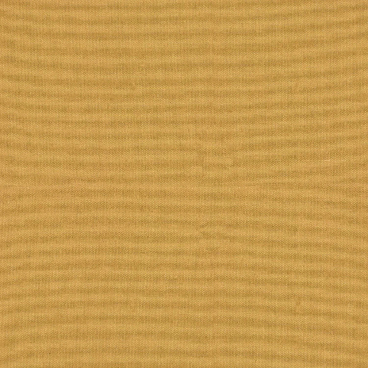 Casamance Arizona fabric — Jaune Or