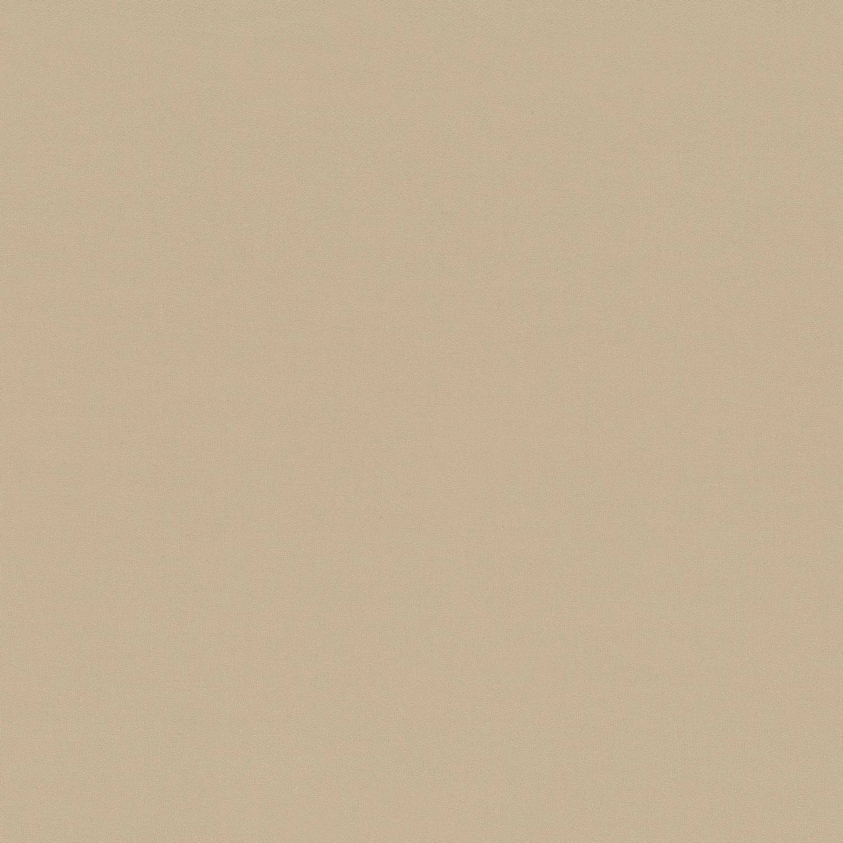 Casamance Atypie fabric — Champagne