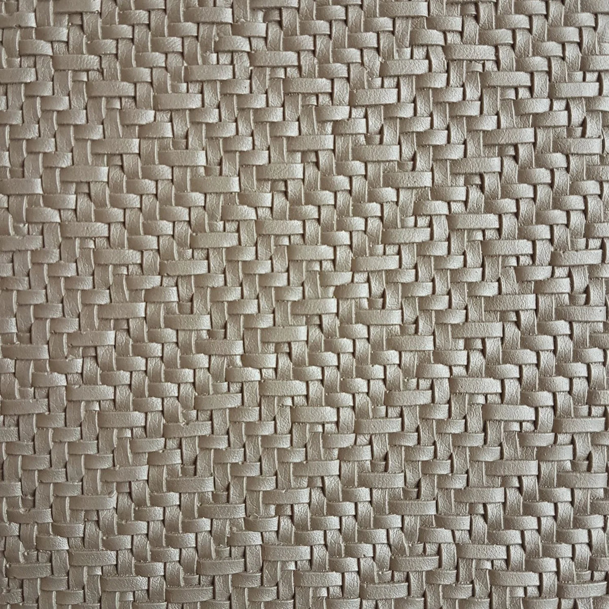 Casamance Kudu fabric — Mastic