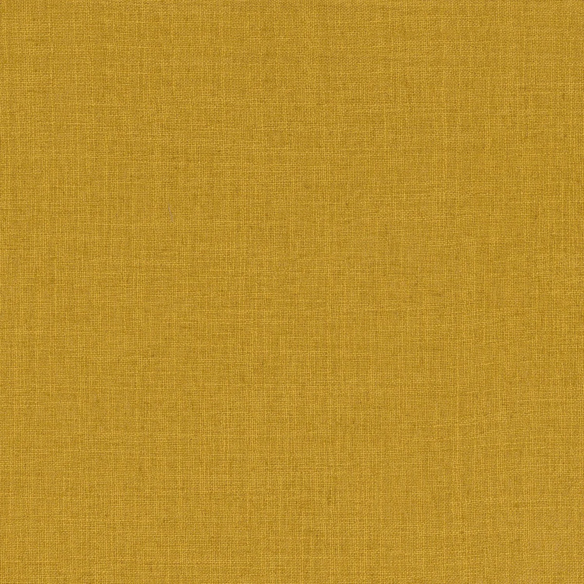 Casamance Favori fabric — Jaune Or