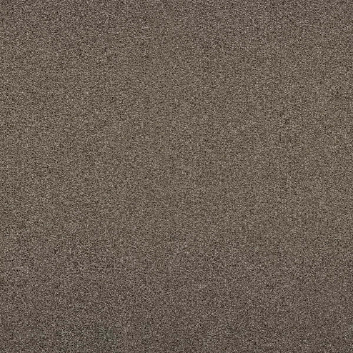 Casamance Naja fabric — Beige Taupe