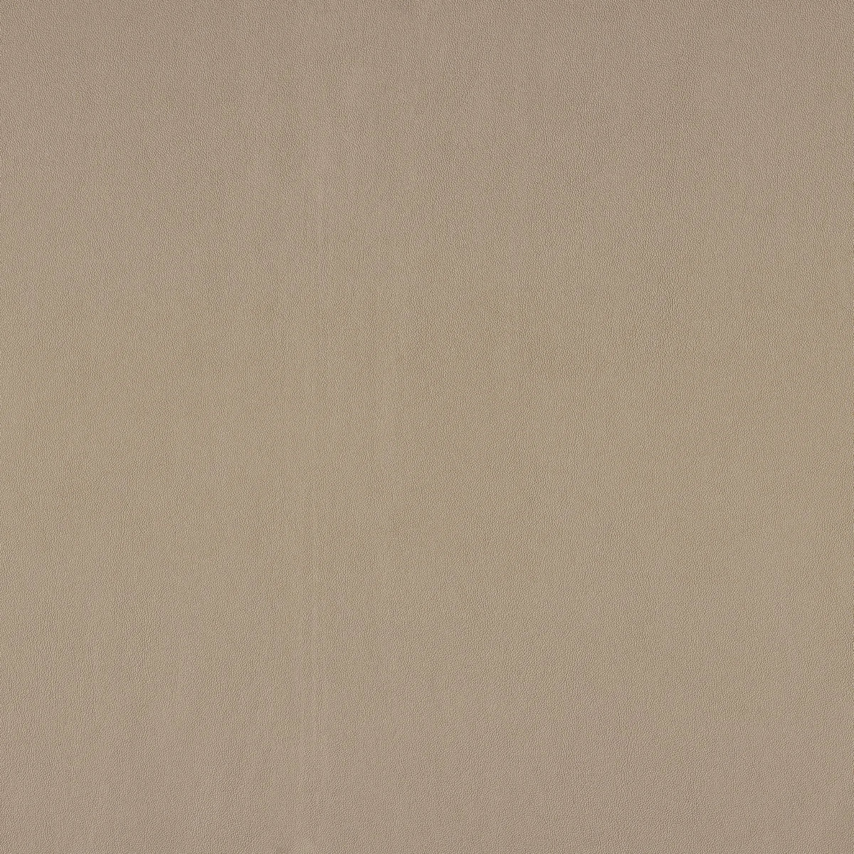 Casamance Naja fabric — Mastic