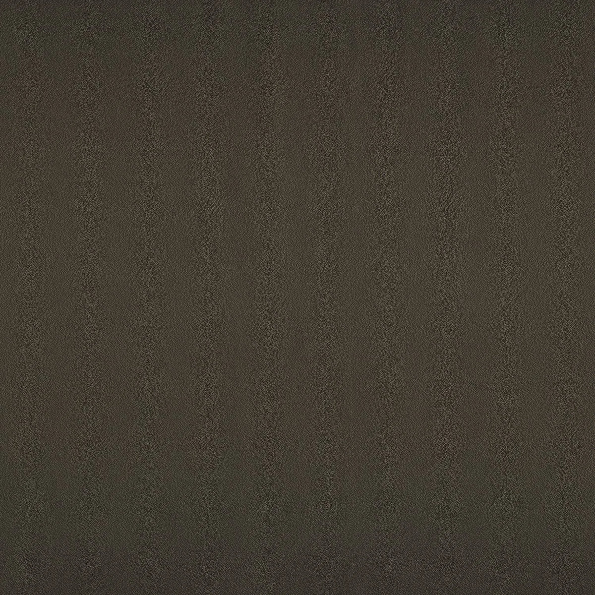 Casamance Naja fabric — Brun Chocolat