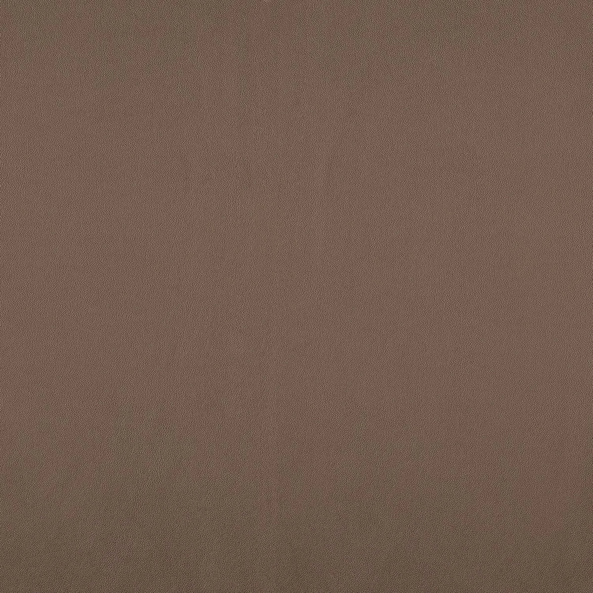 Casamance Naja fabric — Sépia