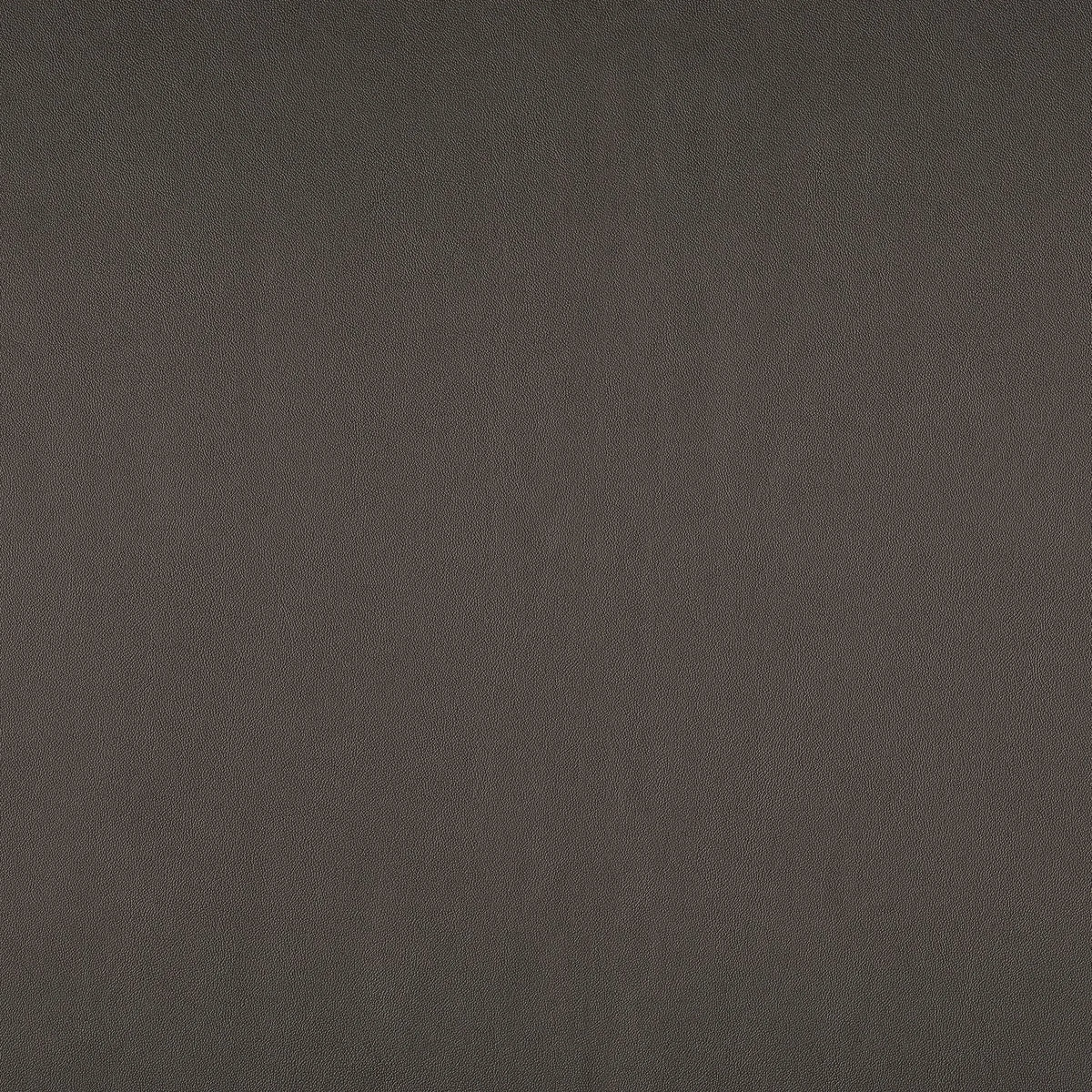Casamance Naja fabric — Brun Tabac