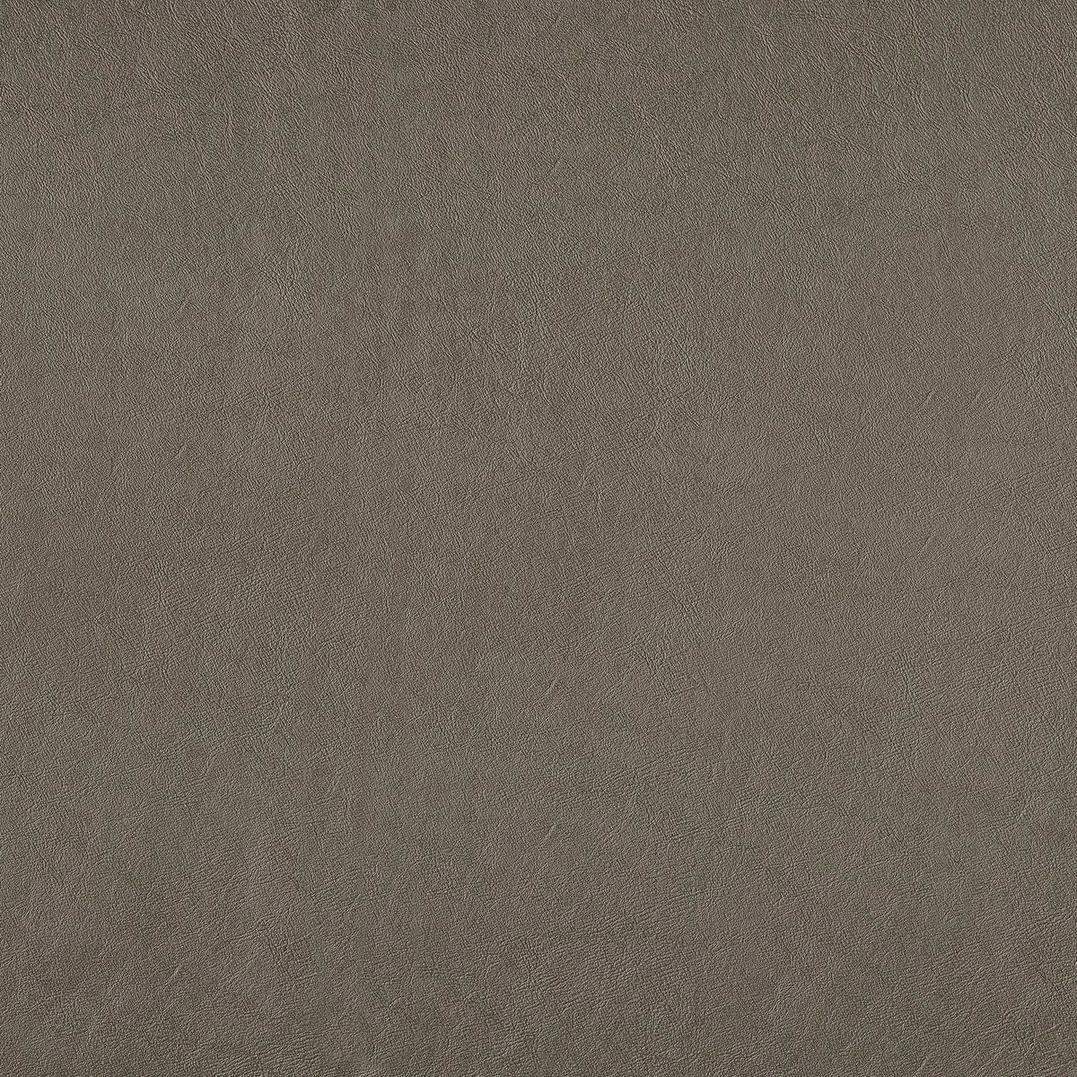 Casamance Thomson fabric — Beige Taupe